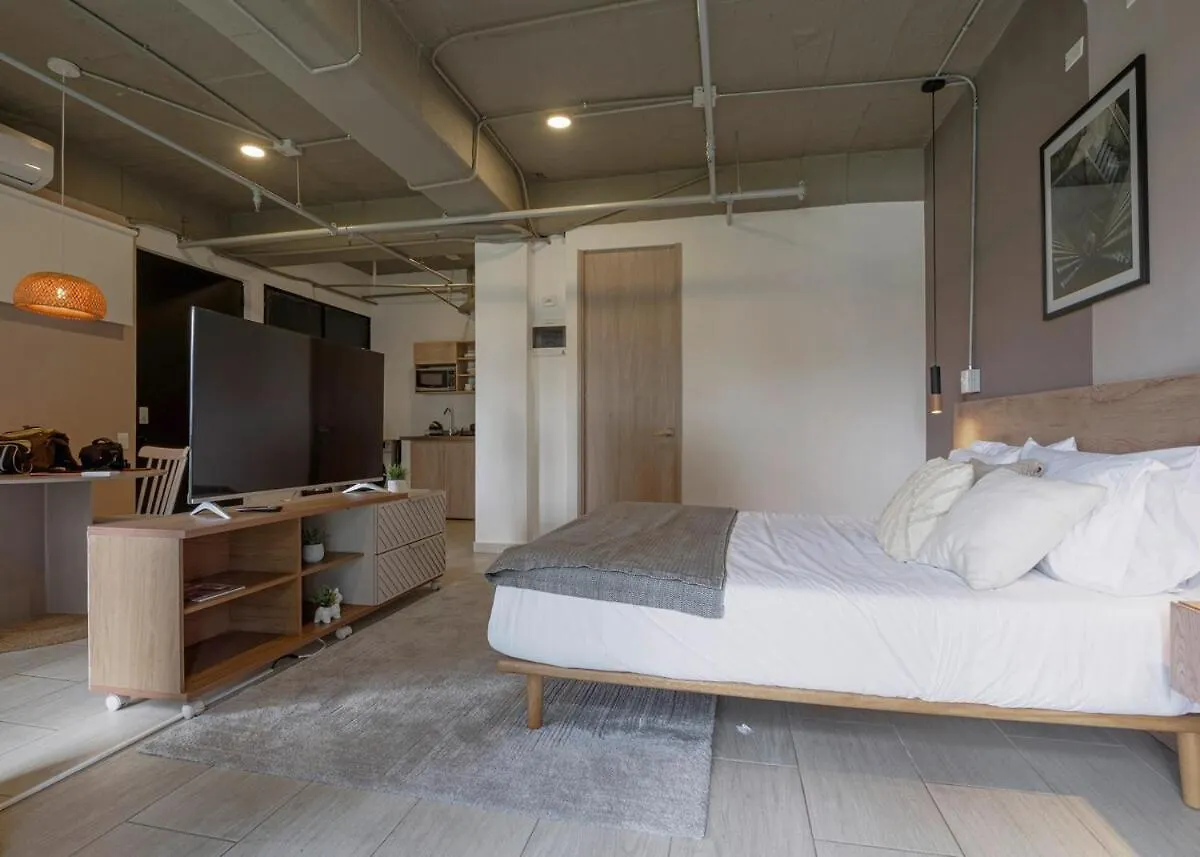 公寓 Cozy And Bright Studio Loft In Central Laureles 麦德林 哥伦比亚
