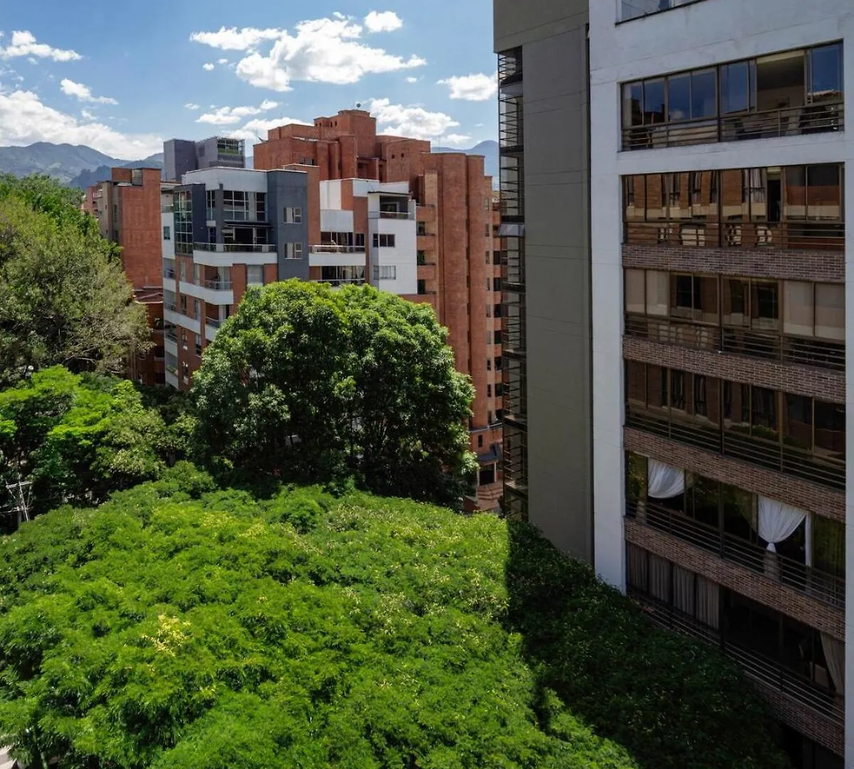Cozy And Bright Studio Loft In Central Laureles 麦德林